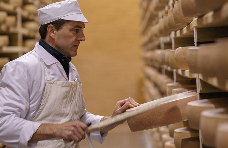 Vérification du Comté lors de ses étapes de fabrication par l'un des fromagers de Seignemartin