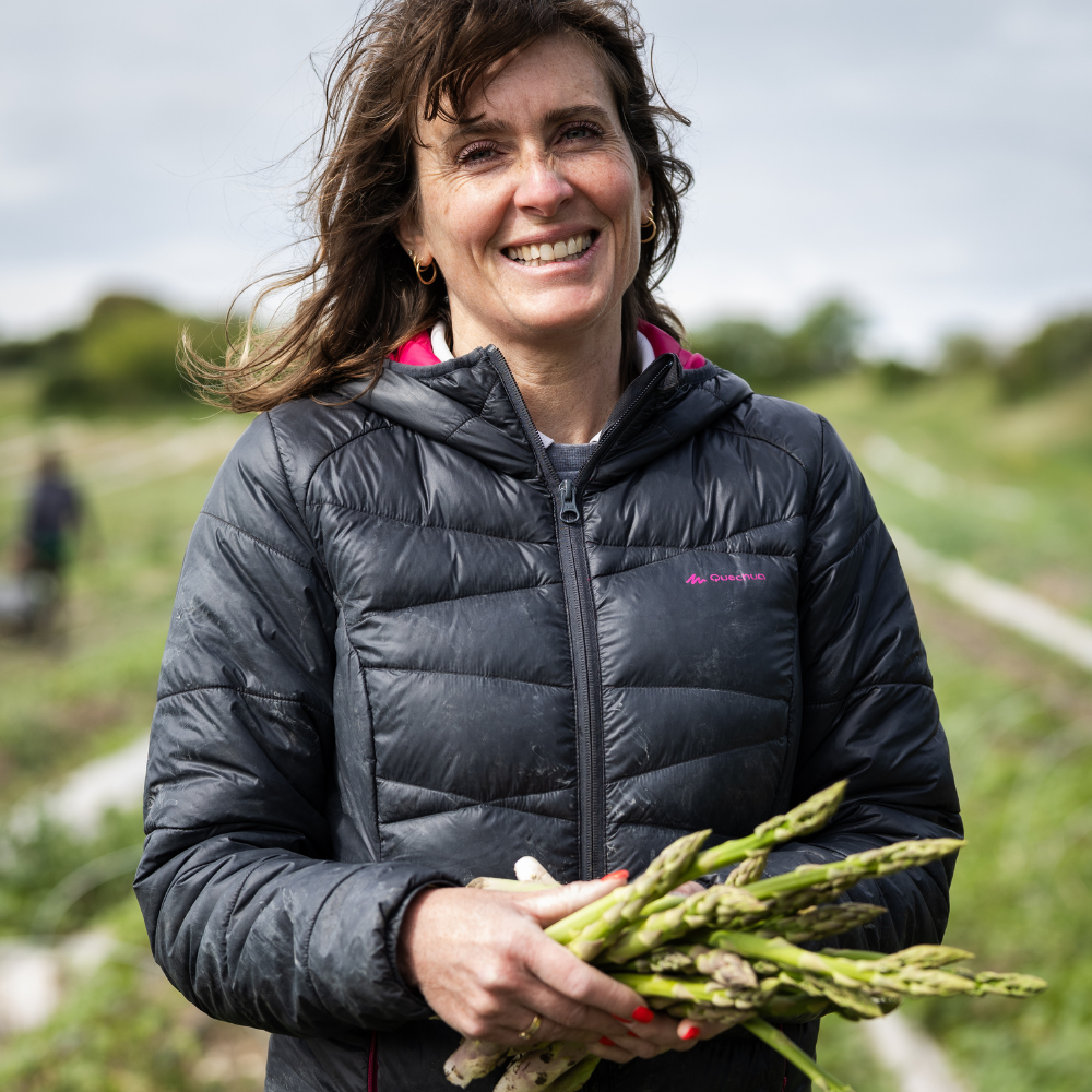 L'asperge verte récoltée par l'entreprise familiale Yvan Revol & Fils