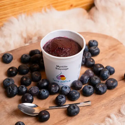 Sorbet Myrtille Terre adélice Carte Hiver Basilic & Co