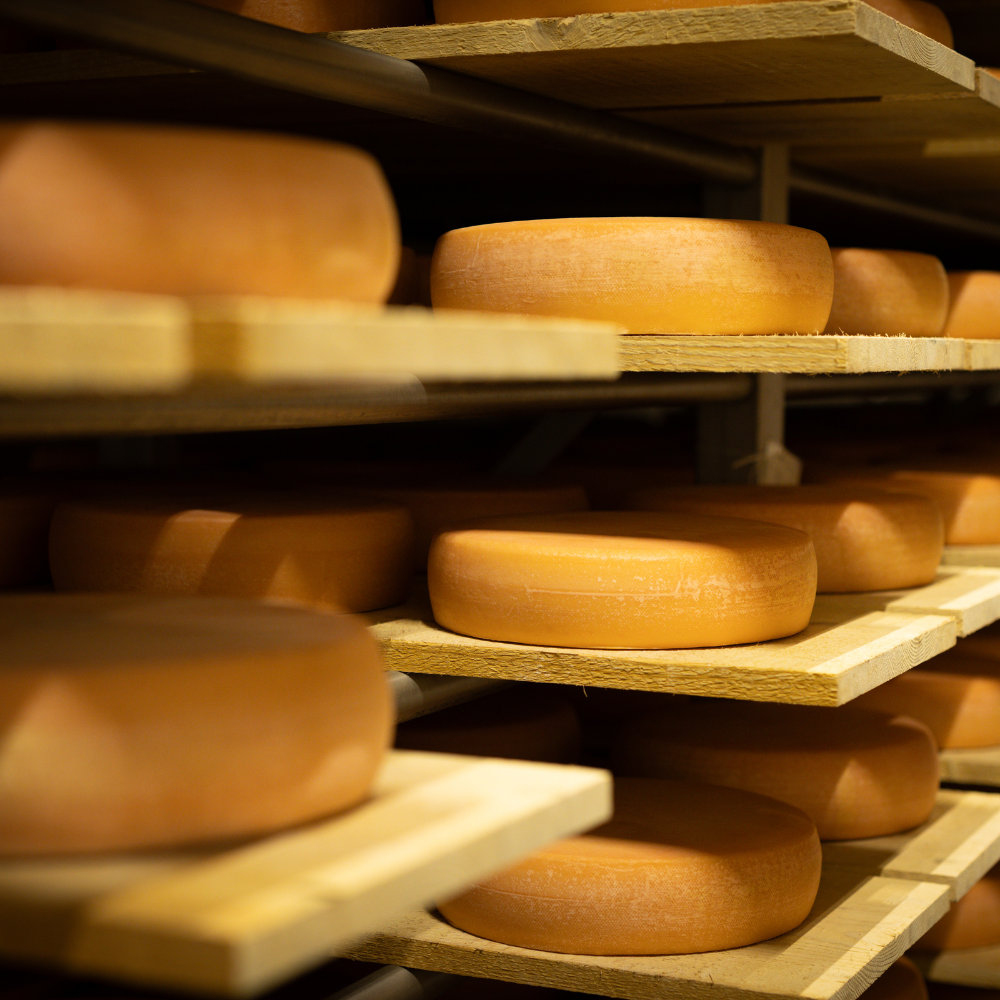 Raclette La Dent du Chat - Recettes hiver Basilic & Co