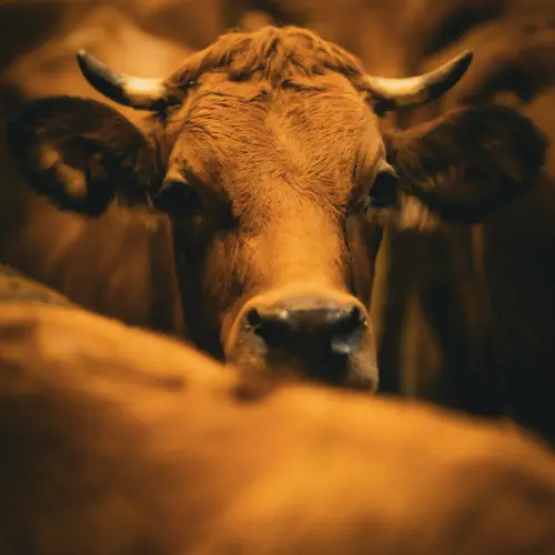 Visite terroir Basilic & Co