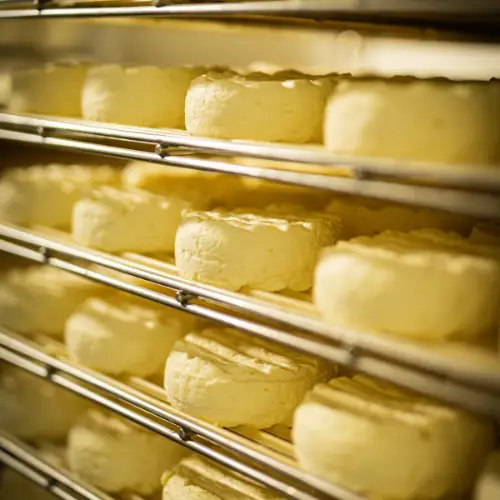 Saint-Félicien carte printemps 2026 Basilic & Co