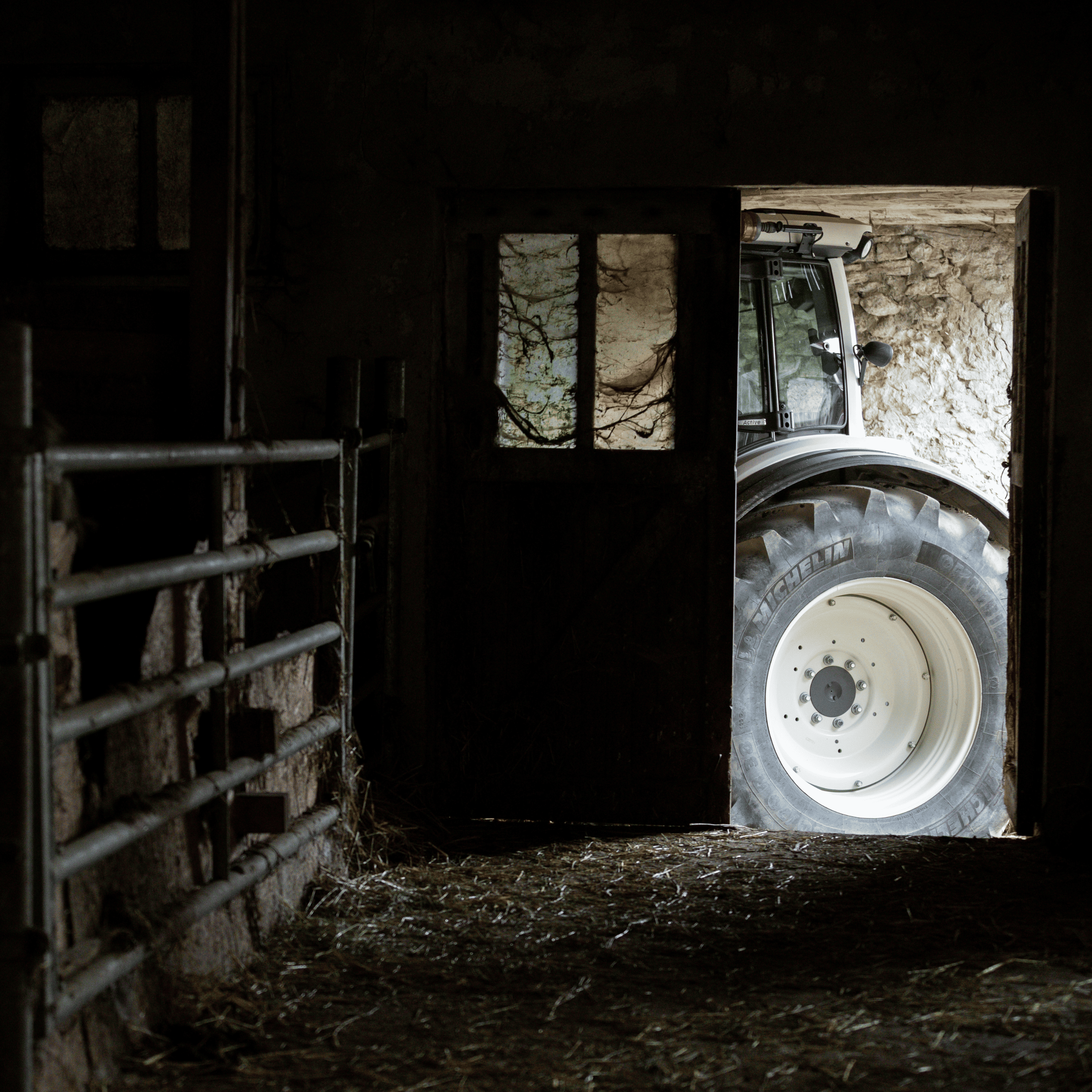 Visite immersive chez le producteur - Basilic & Co