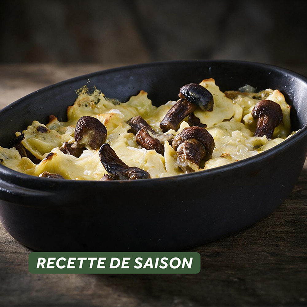 Gratin Normand Basilic & Co
